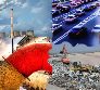 Autorizzazione unica ambientale