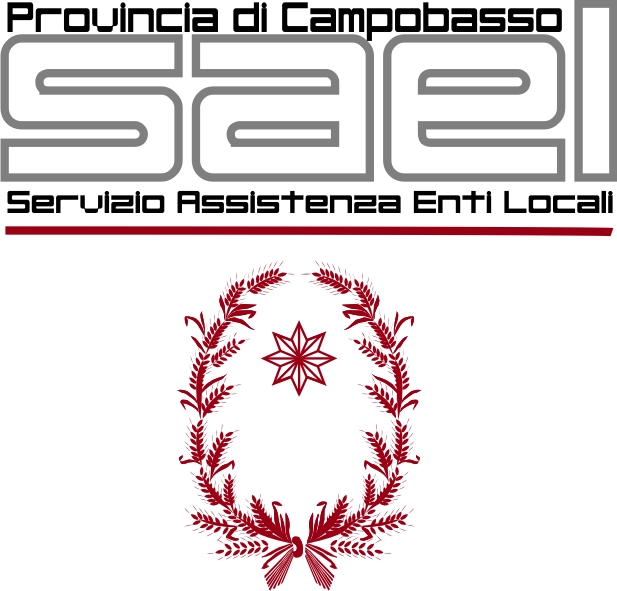 Logo Sael
