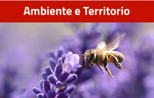 Ambiente e Territorio